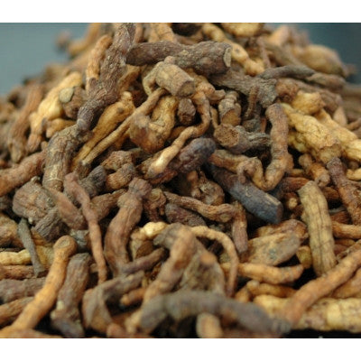 100g of wild Solomon's seal