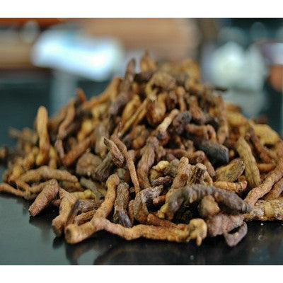 100g of wild Solomon's seal