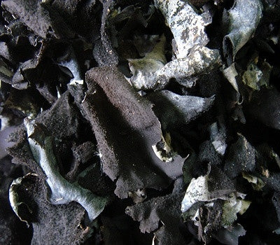 Jirisan Alpine Rock Mushroom (100g)