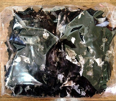 Jirisan Alpine Rock Mushroom (100g)