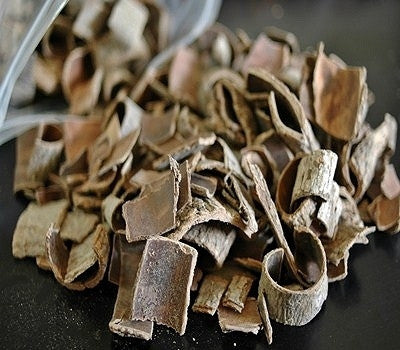 500g of Eucommia bark