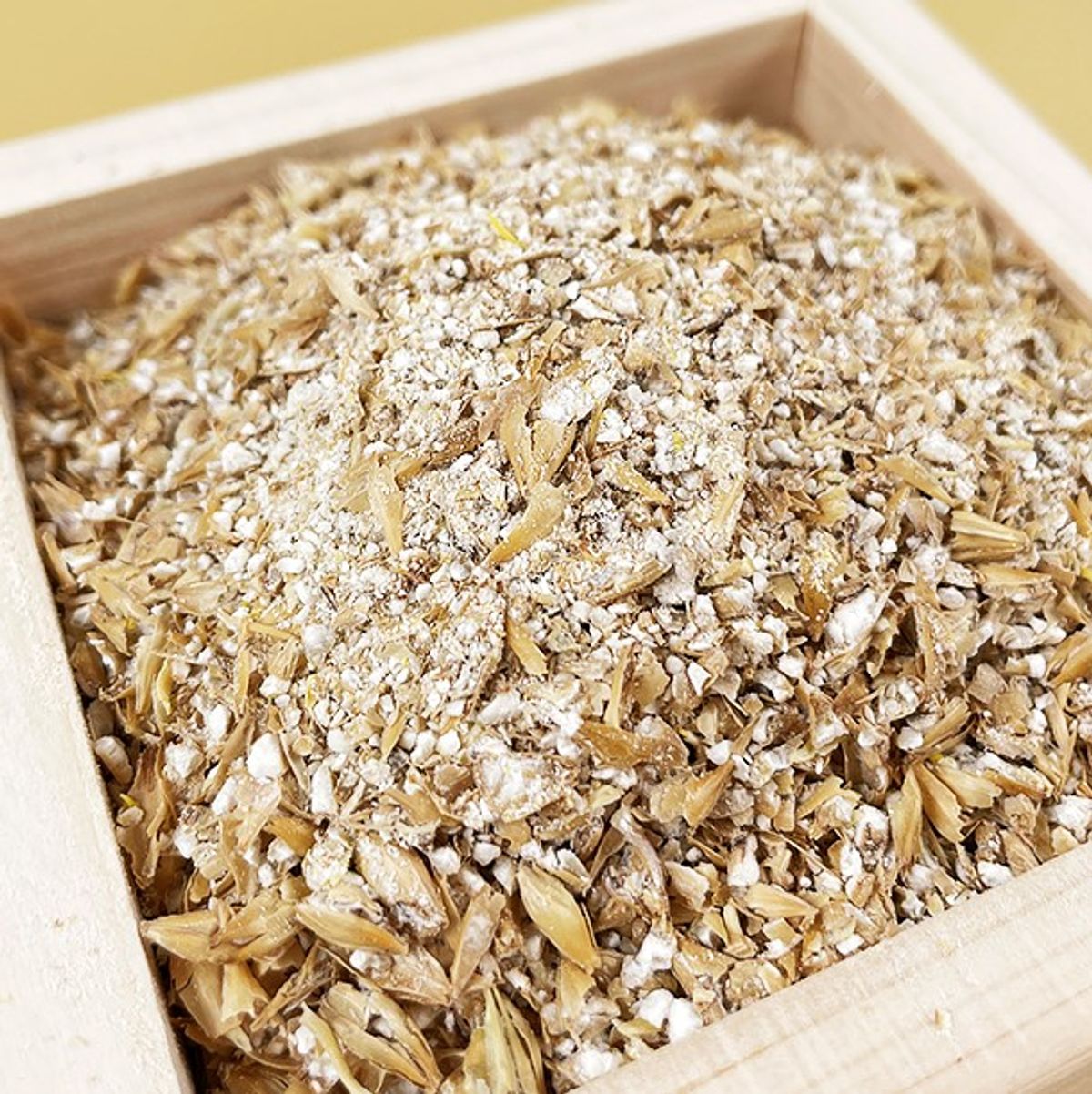 Saeam Food - Malt Powder 500g