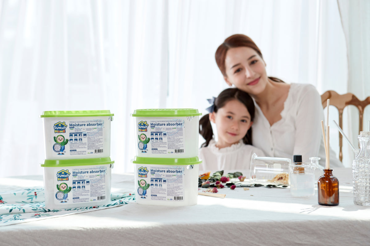 Sunny Home - Bright and Sunny House Closet Dehumidifier (6-pack)