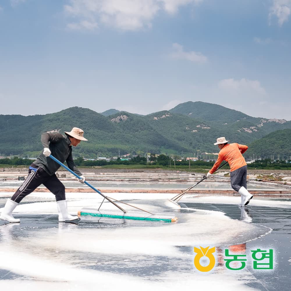 Nonghyup Areumchan Premium Coarse Sun-Dried Salt (1kg)