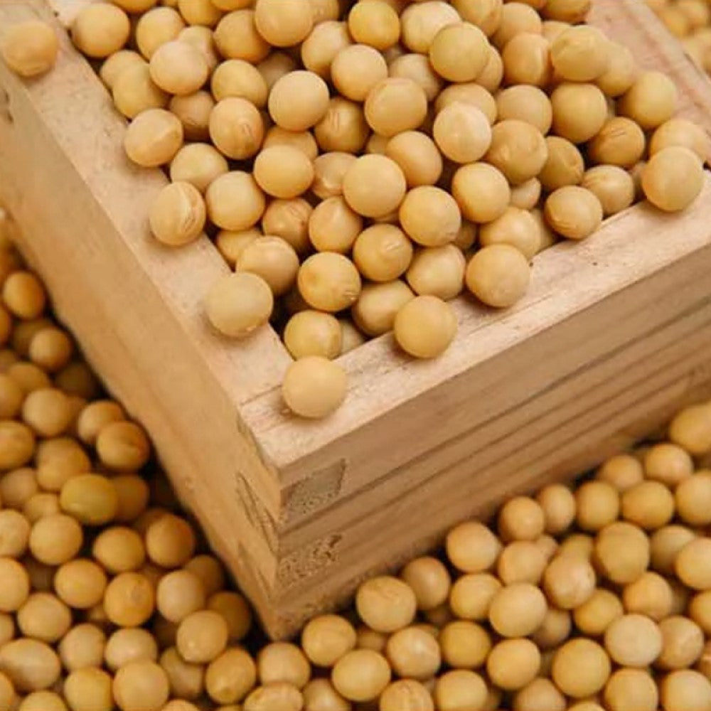 DESIGN FARMER 100% Korean Soy Beans 500g