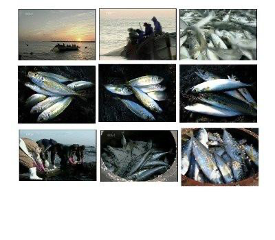 Jeju Traditional Fish Soy Sauce 900ML