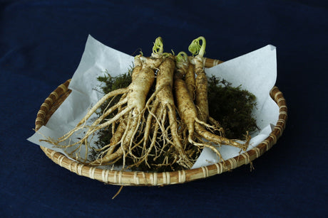 Roots from the East