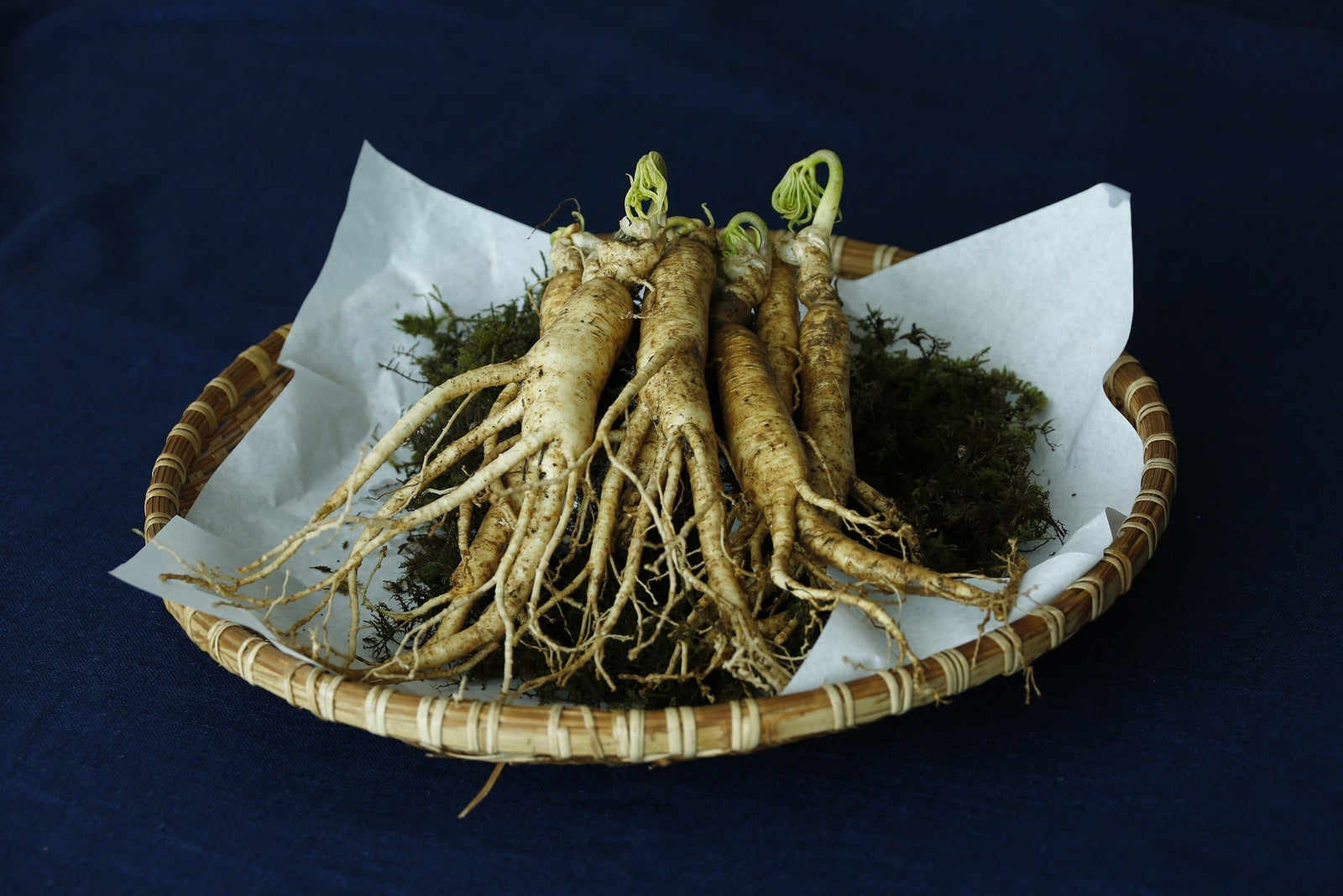 Roots from the East
