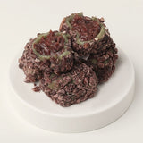 [무료별도배송] 명미당 제주 오메기떡 선물세트 (1.2kg) 3박스