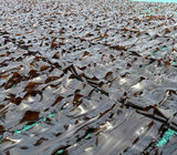Gijang kelp - 600g