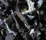 Jirisan Alpine Rock Mushroom (100g)