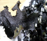 Jirisan Alpine Rock Mushroom (100g)