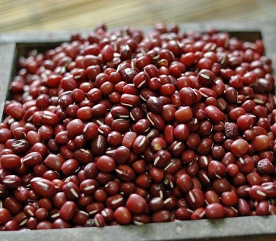 500g fresh red beans