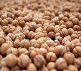 500g of fresh walnuts