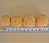500g of fresh walnuts