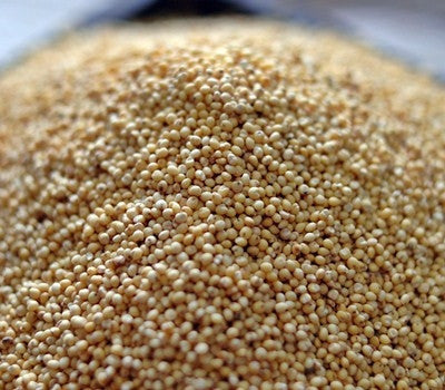 500g of millet