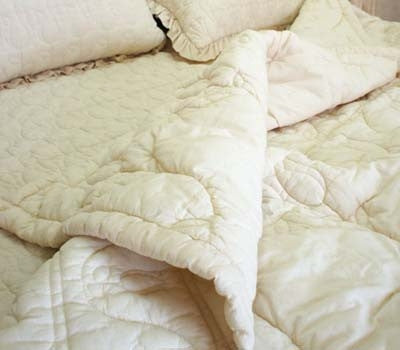 Cotton Tulip Quilted Comforter (Single)