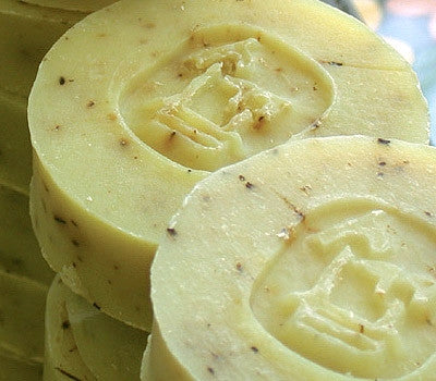 Rosemary Fresh Shampoo Soap (2-piece) Set