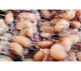 Jirisan Alcheon Stew Cheonggukjang 20g x 5 packs