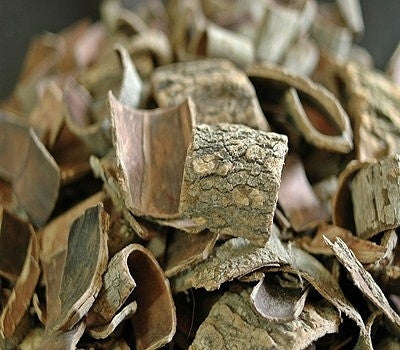 500g of Eucommia bark