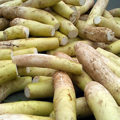 Cheongyanggol Seasoned Radish Pickles 500g