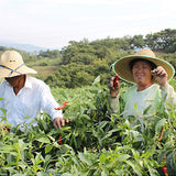 Cheongyanggol Pickled Red Peppers (Slightly Spicy) 500g