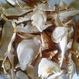 50g of wild Canadian matsutake mushrooms