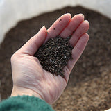 200g roasted perilla seed powder