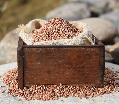 500g of pesticide-free glutinous sorghum rice