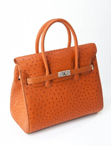 [Homiga] Handmade Ostrich Leather Handbag (OT 273687 Brown)