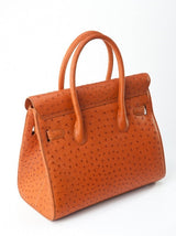 [Homiga] Handmade Ostrich Leather Handbag (OT 273687 Brown)