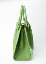 [Homiga] Handmade Ostrich Leather Handbag (OT 281712 Palm)
