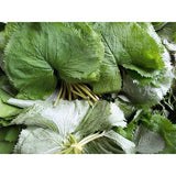 Alcheon - Pickled Ligularia 65g