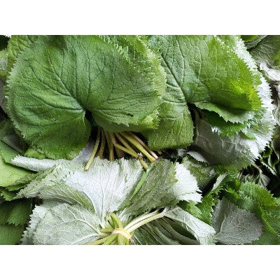 Alcheon - Pickled Ligularia 65g