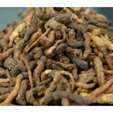 200g of wild Solomon's seal