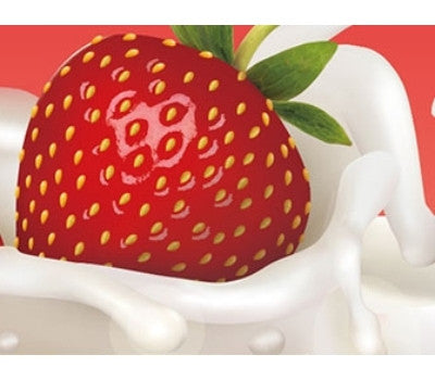 Mom's Love [Homemade Cheese + Yogurt Maker] - (Set)