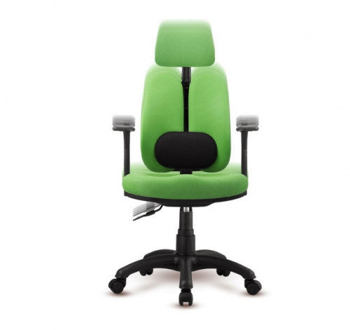 Enex Dual 350 Lumbar Health System Chair