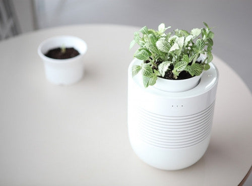 Healing Pot Humidifier + Flower Pot