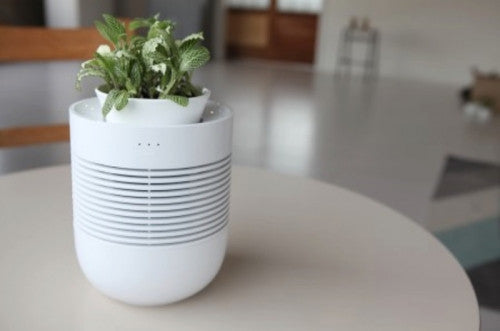 Healing Pot Humidifier + Flower Pot
