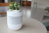 Healing Pot Humidifier + Flower Pot
