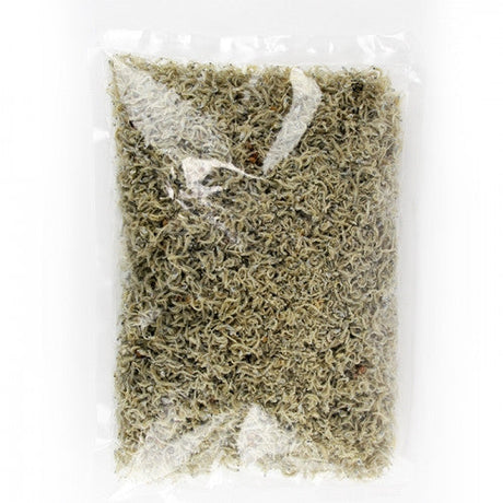 450g of small anchovies caught in the winter sea off the southern coast