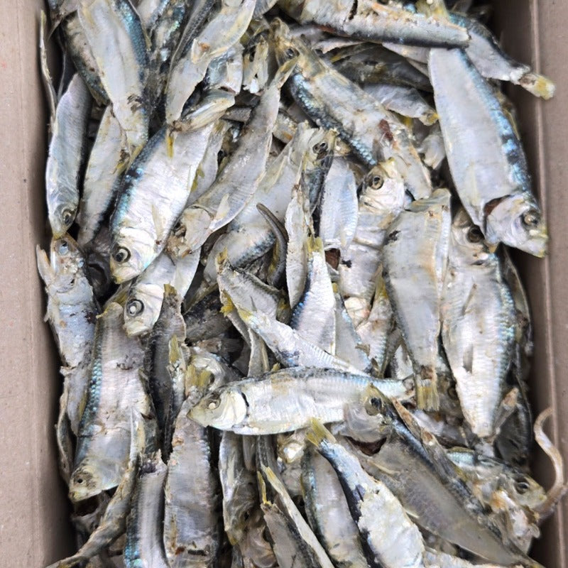 [Free Separate Shipping][Kkotma Fresh] South Coast Ara Fresh Anchovies - Dipori 200g x 3 Boxes Expiration Date: October 31, 2026