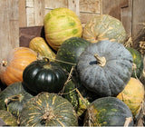 100g dried mature pumpkin
