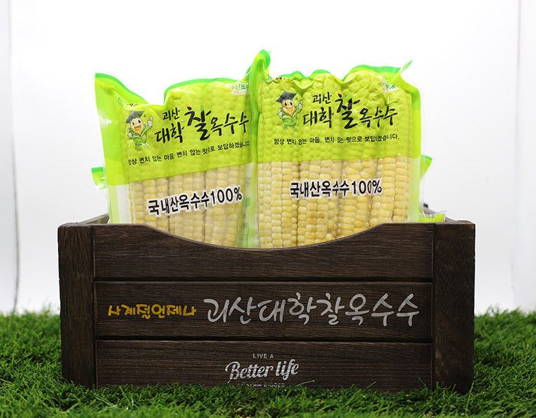 [Kkotma Fresh] Goesan University Glutinous Corn (3 ears x 2 packs, Total 6 ears) Expiration Date: December 31, 2025