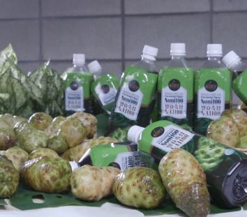Gift from God 100% Fermented and Aged Noni Juice 1L