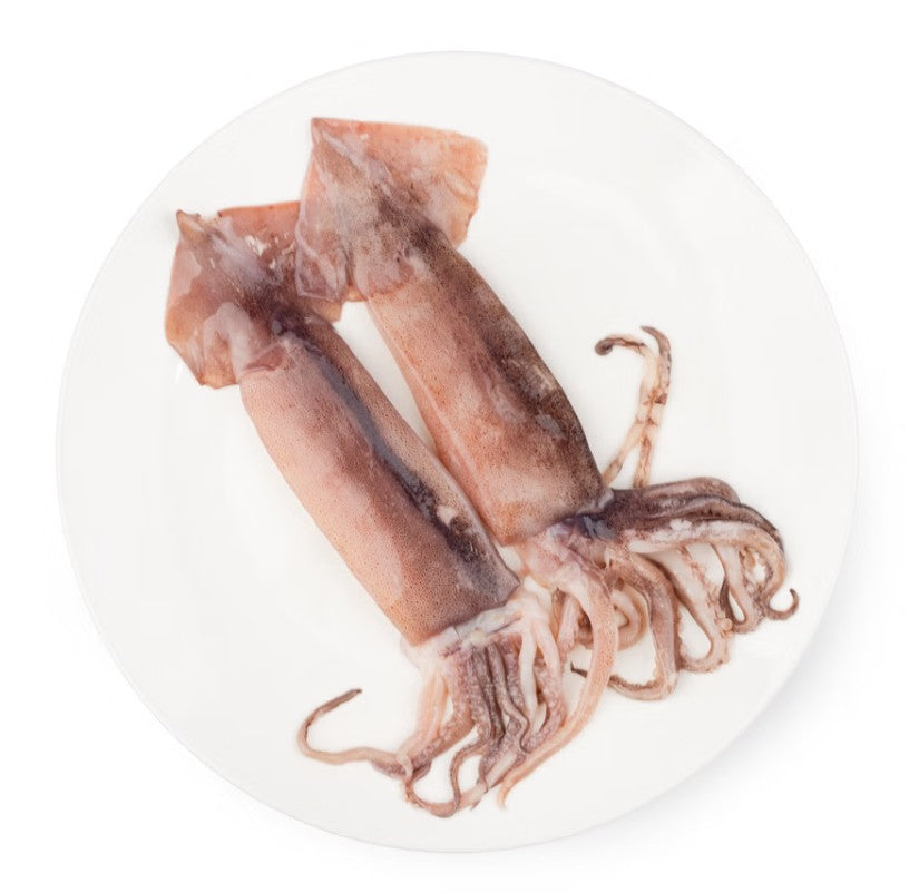 [Free Separate Shipping][Kkotma Fresh] Ready-to-Cook Cleaned Whole Squid (260g) x 3 Packs Expiration Date: September 20, 2027