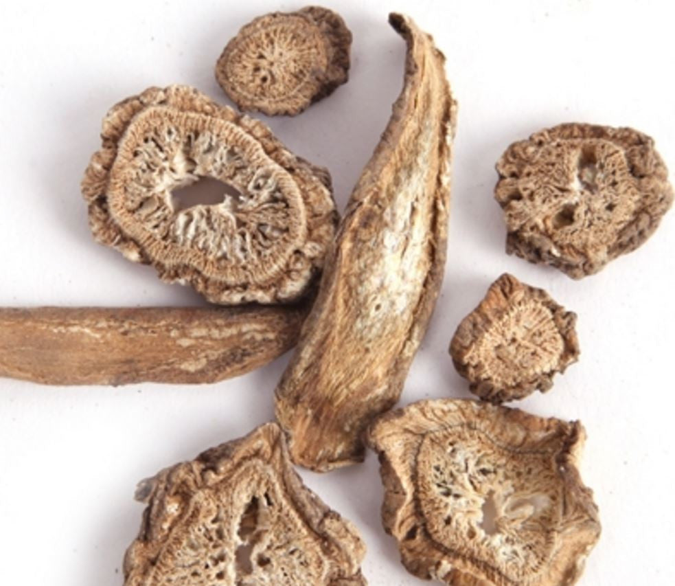 Chamgusu Organic Burdock Tea 100g