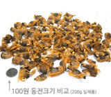 Very well-dried dried clam meat, large size, approximately 200g