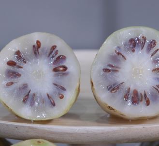 Gift from God 100% Fermented and Aged Noni Juice 1L