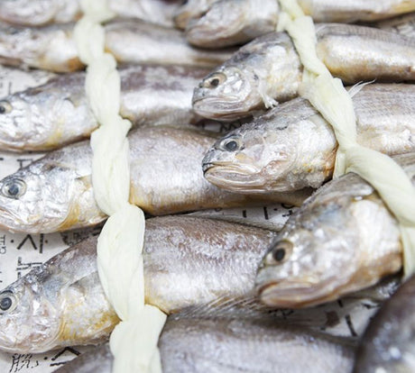 [Free Separate Shipping] Yeonggwang Beopseongpo Gulbi Jangdae No. 4 1.6kg (20 pieces)